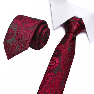 Silk Striped & Paisley Neck Tie