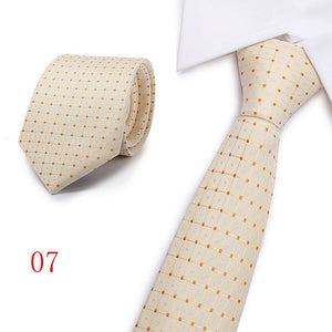 Silk Striped & Paisley Neck Tie